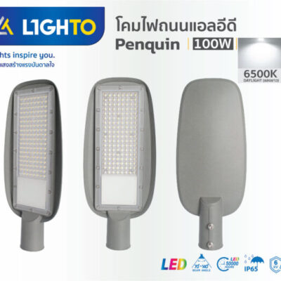 โคมไฟถนน Lighto LED รุ่นPENGUIN 100W-1