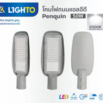 โคมไฟถนน Lighto LED รุ่นPENGUIN 50W-1